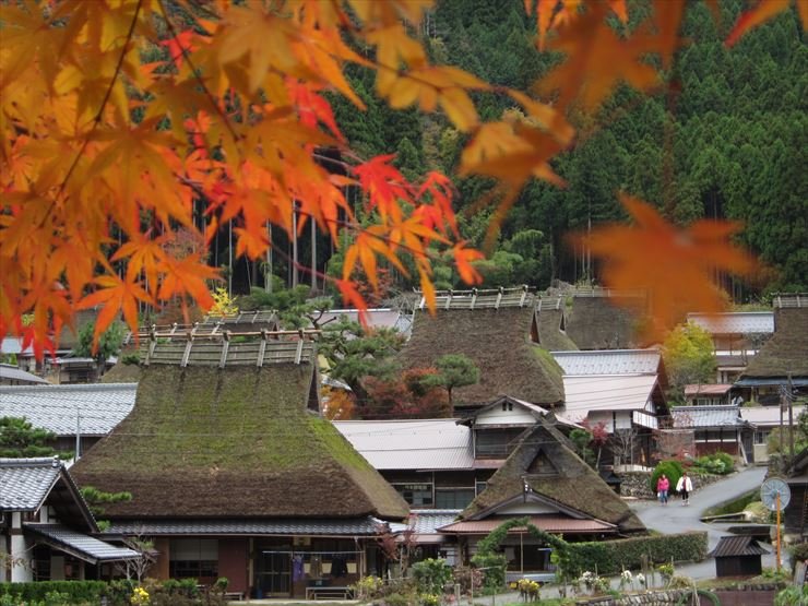 🏞️ 동운의 마을(시노노메노사토) 이미지 5